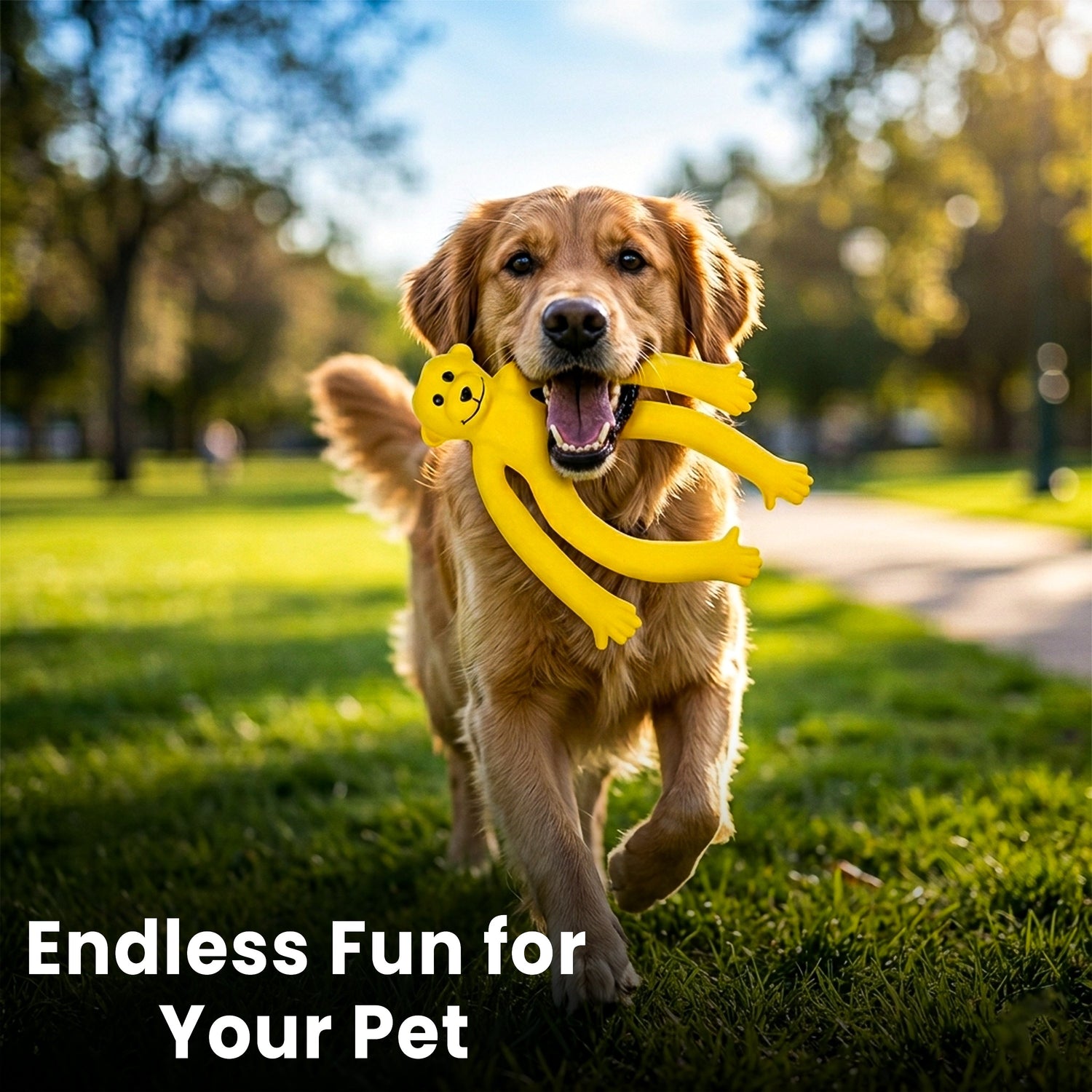 pet toys
